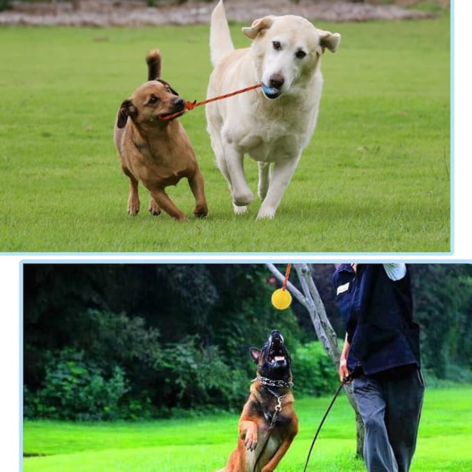 2 Pack Dog Ball, K9 Ball on Rope for Reward, Fetch, Play (7cm)