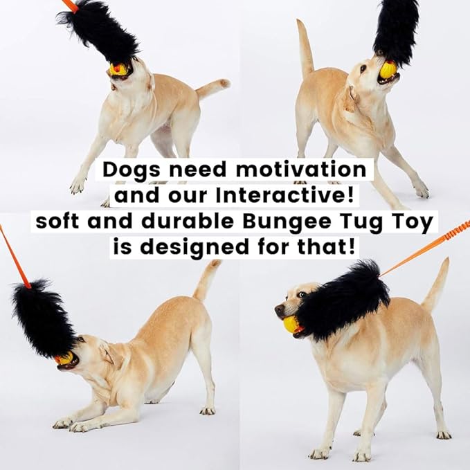 HOWGO Dog Rope Toy,Dog Bungee Chaser Toy 100% Sheepskin,Sheep Smell Tug Interactive Rope for All Breeds (Black, with Rubber Ball)