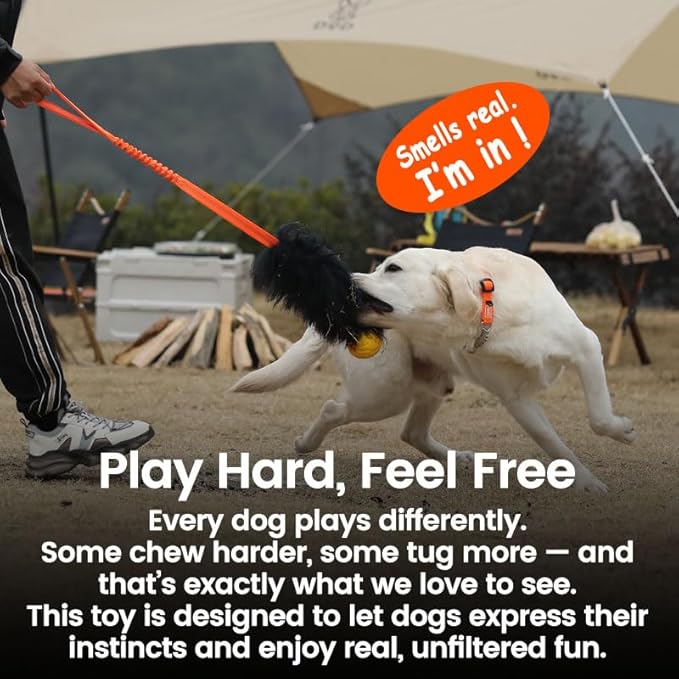 HOWGO Dog Rope Toy,Dog Bungee Chaser Toy 100% Sheepskin,Sheep Smell Tug Interactive Rope for All Breeds (Black, with Rubber Ball)