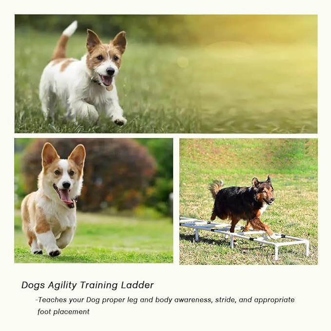 PLKO Dogs Agility Training Ladder, Pets Agility Training Equipment, Pet Outdoor Game