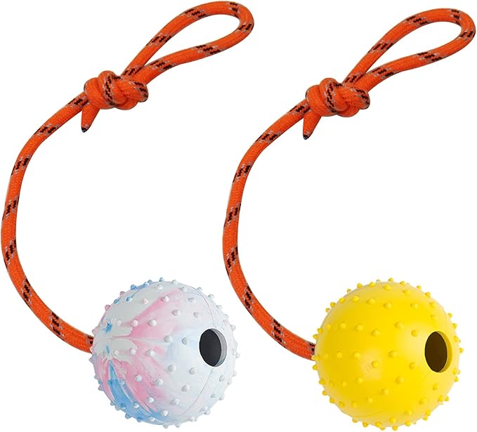 2 Pack Dog Ball, K9 Ball on Rope for Reward, Fetch, Play (7cm)