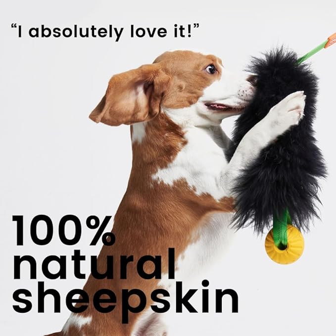 HOWGO Dog Rope Toy,Dog Bungee Chaser Toy 100% Sheepskin,Sheep Smell Tug Interactive Rope for All Breeds (Black, with Rubber Ball)