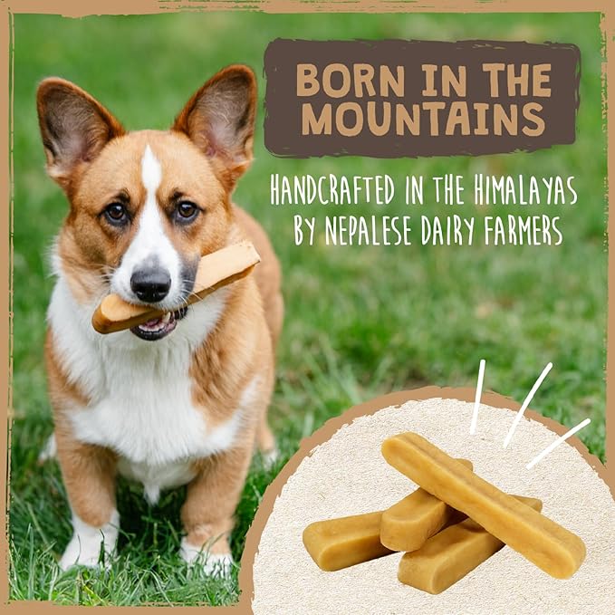 Mighty Paw Yak Cheese Chews for Dogs | All-Natural Long Lasting Pet Treats. Odorless and Great for Oral Health. Limited-Ingredient Chews for Puppies & Power-Chewers (Monster, 1 Pack)