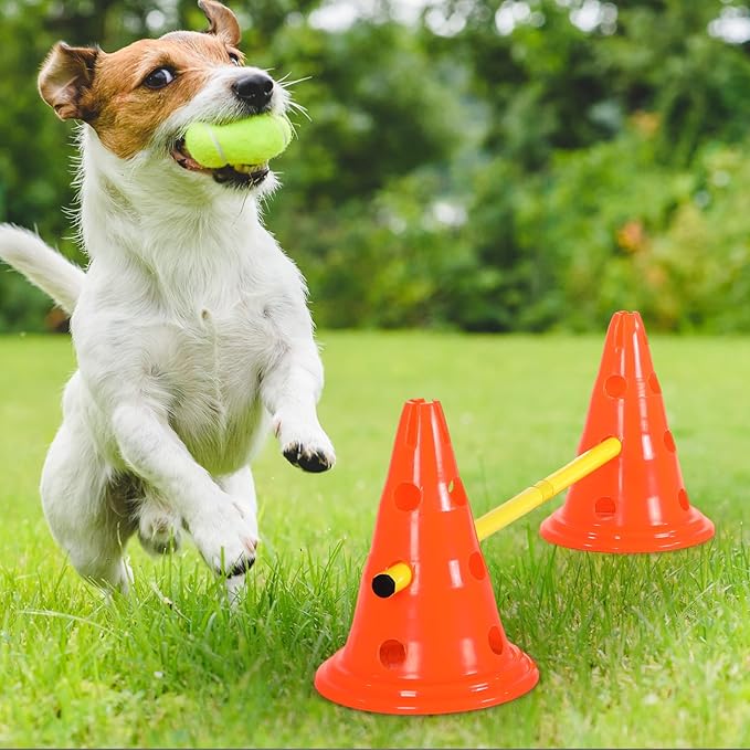 Dog Agility Hurdle Cone Set Dog Agility Course Backyard Set with Height Adjustable Include 12 Cones 6 Rods Training Equipment for Pet Obstacle Course Outdoor Games(Orange, Yellow)