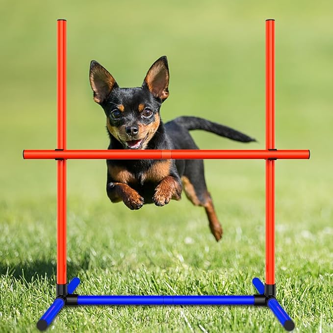 Dog Agility Equipment - Complete Dog Agility Course Backyard Set Including Tunnel & Obstacle Course, Professional Training Equipment for Dogs