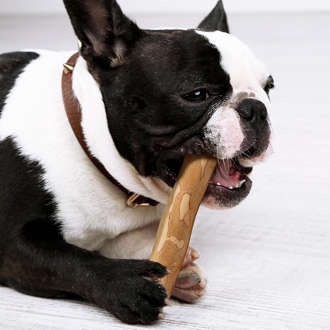 Wildfang® Coffee Wood Dog Chew, Small - Tough Chew Toys for Aggressive Chewers, Dog Teething Toys for Puppies, Training for Chewing Muscles, Coffee Tree Sticks for Small Dogs (22-33 lbs)