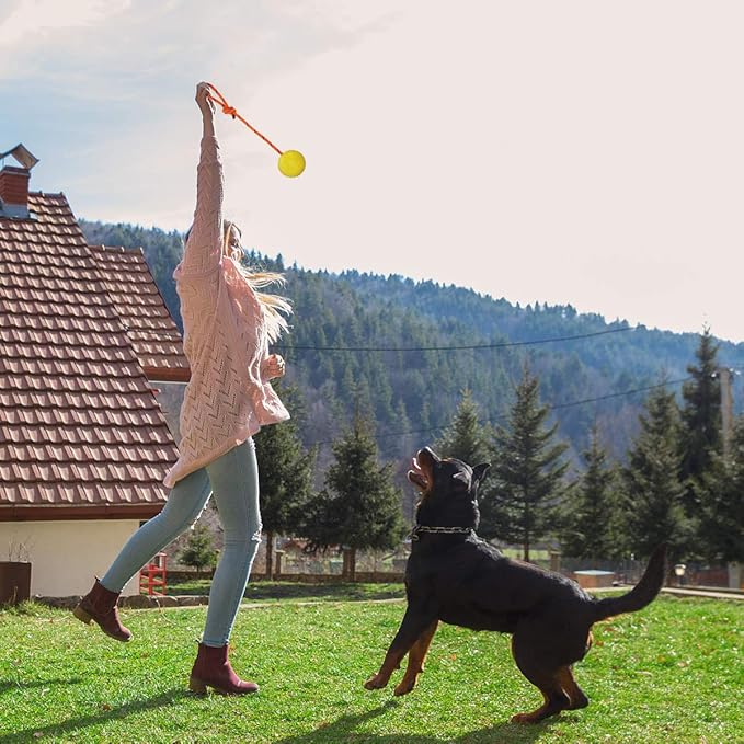 2 Pack Dog Ball, K9 Ball on Rope for Reward, Fetch, Play (6cm)