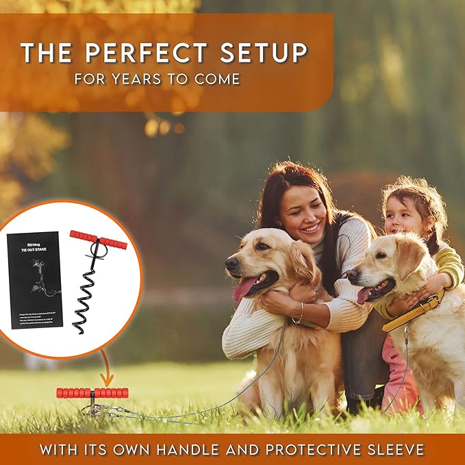 Dog Tie Out Stakes,Heavy Duty Stake for Large Dogs,Strongest Dog Anchor Holds 2 Large Dogs Up to 200 lbs,Free and Safe On Yard,Beach,Camping,Outdoor (L（Only Stake）, Black)