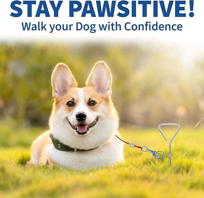 Chrome Dog Tie-Out Stake & 25 Foot Cable, Stainless Steel Heavy-Duty Outdoor Yard Camping Corkscrew Anchor stake Design with Tangle-Free 360 Swivel Hook for Dogs Play Boundary for Puppies & Adult Dogs