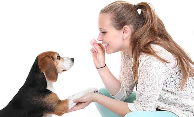 MindWare Make Your Own Doggy Day Camp – Deluxe Outdoor Activity Kit for Dog Lovers with Many Fun Training & Play Challenges | Interactive Bonding Gift for Active Dogs & Their Humans