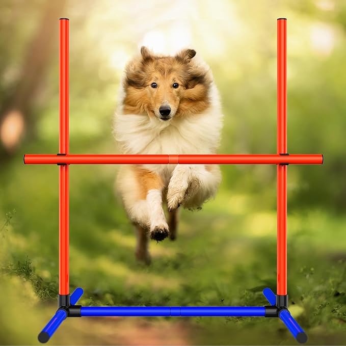 Dog Agility Equipment - Complete Dog Agility Course Backyard Set Including Tunnel & Obstacle Course, Professional Training Equipment for Dogs