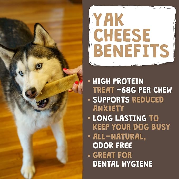 Mighty Paw Yak Cheese Chews for Dogs, All Natural Long Lasting Pet Treats. Odorless & Great for Oral Health. Limited Ingredient Chews for Puppies & Power Chewers (Medium, 12 Pack)1 Count (Pack of 1)