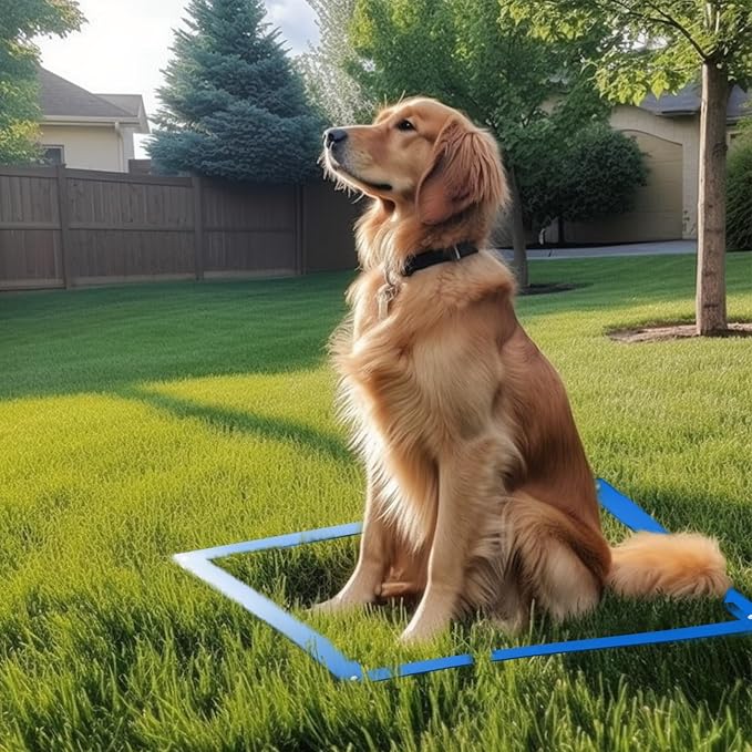 PLKO Dog Agility Equipment Set,Pets Agility Training Equipment,Weave Poles, Adjustable Hurdle, Jump Ring, Pause Box and Storage Bag