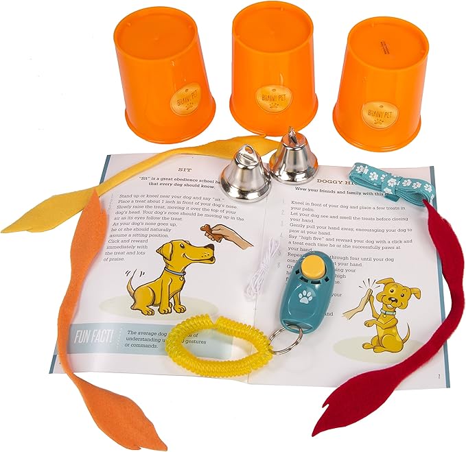 MindWare Make Your Own Doggy Day Camp – Deluxe Outdoor Activity Kit for Dog Lovers with Many Fun Training & Play Challenges | Interactive Bonding Gift for Active Dogs & Their Humans