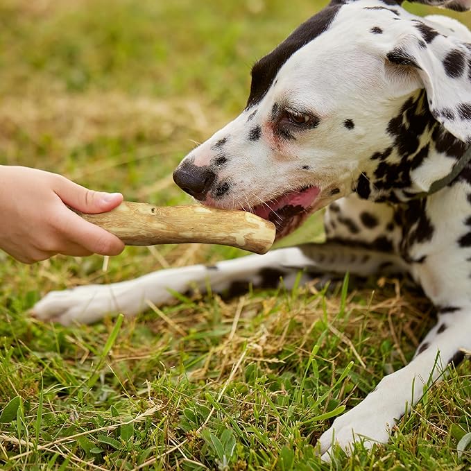 Wildfang® Coffee Wood Dog Chew, Large - Tough Chew Toys for Aggressive Chewers, Dog Teething Toys for Puppies, Training for Chewing Muscles, Coffee Tree Sticks for Large Dogs (55-99 lbs), Pack of 3