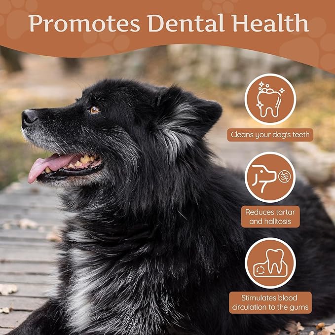 Wildfang® Coffee Wood Dog Chew, Large - Tough Chew Toys for Aggressive Chewers, Dog Teething Toys for Puppies, Training for Chewing Muscles, Coffee Tree Sticks for Large Dogs (55-99 lbs)