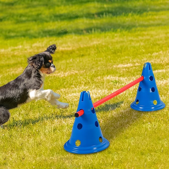 Dog Agility Hurdle Cone Set Dog Agility Course Backyard Set with Height Adjustable Include 12 Cones 6 Rods Training Equipment for Pet Obstacle Course Outdoor Games(Blue, Orange)