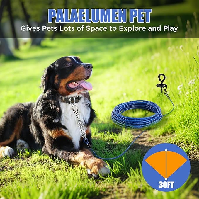 Dog Tie Out Cable and Stake - 30ft Heavy Duty Tether (up to 250 lbs) with Carabiners & 360° Swivel Hook & Shock Spring, Ideal Ground Anchor Kit for Yard, Beach & Camping Outdoors (Black)