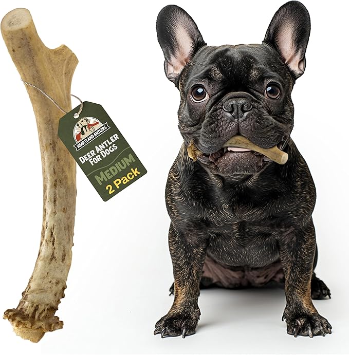 Heartland Deer Antlers for Dogs - Daily Dental Care Chews for Aggressive Chewers to Reduce Plaque & Prevent Destructive Behavior (Splinter Free, 5-6", Medium, 2-Pack, Grade A, USA Made)