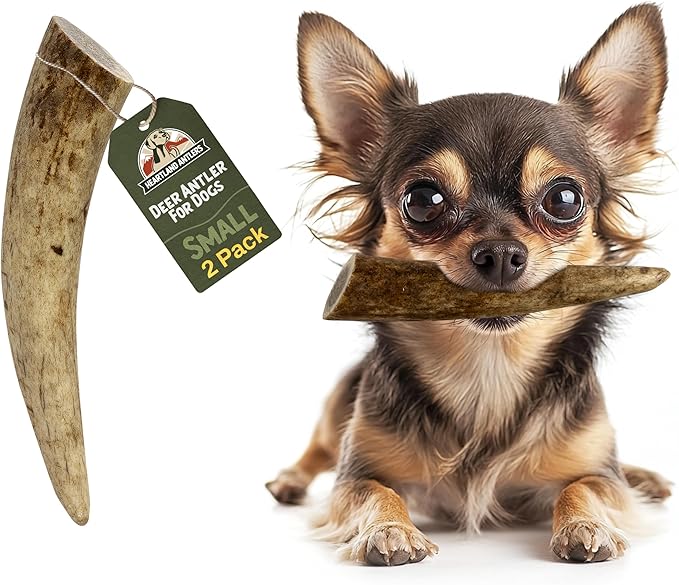 Heartland Deer Antlers for Dogs - Daily Dental Care Chews for Aggressive Chewers to Reduce Plaque & Prevent Destructive Behavior (Small, 4–5, 2-Pack, Grade A, USA Made)
