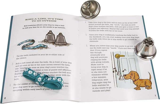 MindWare Make Your Own Doggy Day Camp – Deluxe Outdoor Activity Kit for Dog Lovers with Many Fun Training & Play Challenges | Interactive Bonding Gift for Active Dogs & Their Humans