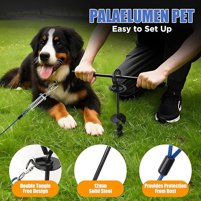 Dog Tie Out Cable and Stake - 30ft Heavy Duty Tether (up to 250 lbs) with Carabiners & 360° Swivel Hook & Shock Spring, Ideal Ground Anchor Kit for Yard, Beach & Camping Outdoors (Black)