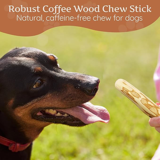 Wildfang® Coffee Wood Dog Chew, Medium - Tough Chew Toys for Aggressive Chewers, Dog Teething Toys for Puppies, Training for Chewing Muscles, Coffee Tree Sticks for Medium Dogs (33-55 lbs), Pack of 3
