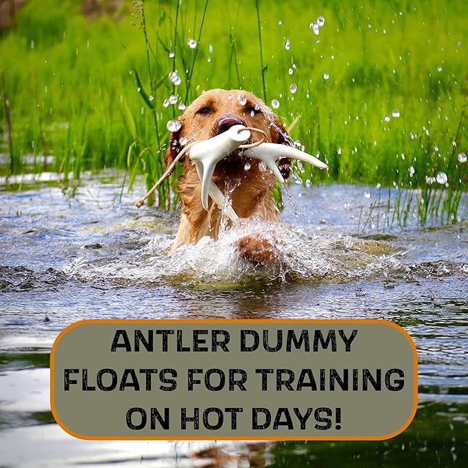 DogBone Shed Dog Training Dummy (Brown) | Dog Training Kit | Hunting Dog Accessories | Dog Training Tools | Dog Scent Training Kit | Scent Training for Dogs | Hunting Dog Toys