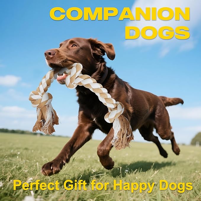 Fida Dog Rope Toys for Large/Medium Aggressive Chewers, Tough Rope Chew Toy,Natural Cotton 3 Knots