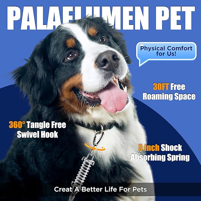 Dog Tie Out Cable and Stake - 30ft Heavy Duty Tether (up to 250 lbs) with Carabiners & 360° Swivel Hook & Shock Spring, Ideal Ground Anchor Kit for Yard, Beach & Camping Outdoors (Black)