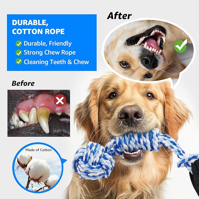 LOOBANI Spring Pole Dog Rope Toys - Tug of War Dog Toy for Pitbull Medium to Large Dogs, Indoor Outdoor Use Bungee Hanging Exercise Ropes Muscle Builder Interactive Toys (Door Hanging Style)