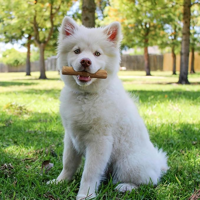 Wildfang® Coffee Wood Dog Chew, Small - Tough Chew Toys for Aggressive Chewers, Dog Teething Toys for Puppies, Training for Chewing Muscles, Coffee Tree Sticks for Small Dogs (22-33 lbs)