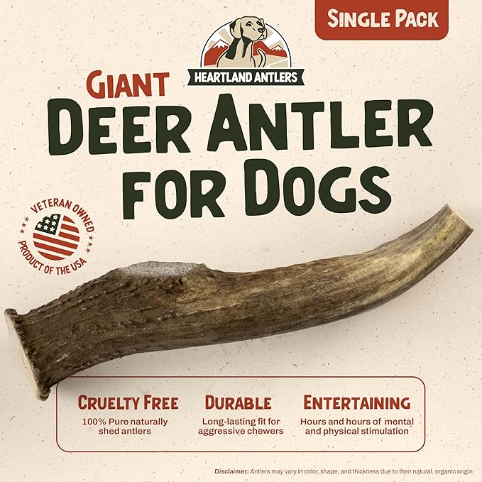 Heartland Deer Antlers for Dogs - Daily Dental Care Chews for Aggressive Chewers to Reduce Plaque & Prevent Destructive Behavior (Giant, 9+", 1-Pack, Grade A, USA Made)