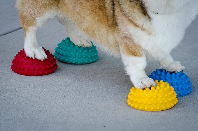 FitPAWS Paw Pods for Dog Agility