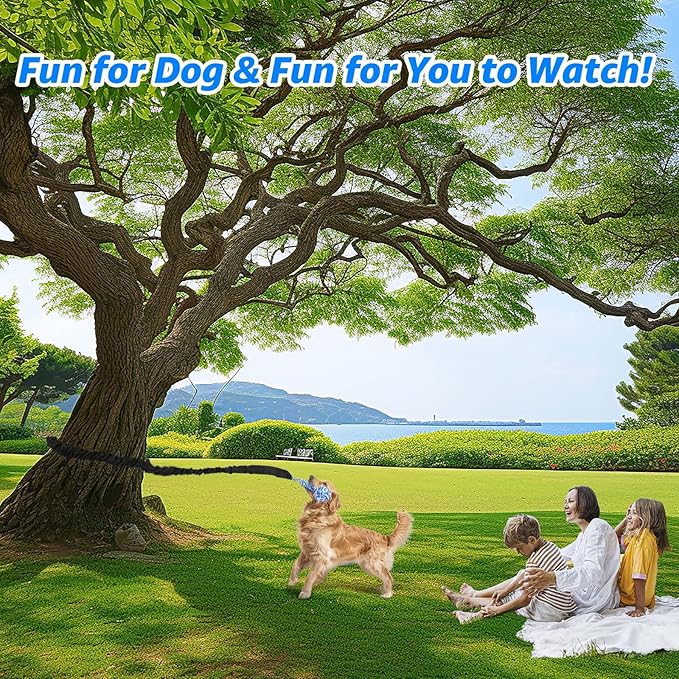 LOOBANI Spring Pole Dog Rope Toys - Tug of War Dog Toy for Pitbull Medium to Large Dogs, Indoor Outdoor Use Bungee Hanging Exercise Ropes Muscle Builder Interactive Toys (Door Hanging Style)