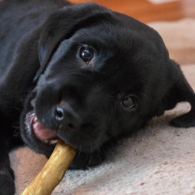 Wildfang® Coffee Wood Dog Chew, Large - Tough Chew Toys for Aggressive Chewers, Dog Teething Toys for Puppies, Training for Chewing Muscles, Coffee Tree Sticks for Large Dogs (55-99 lbs), Pack of 3