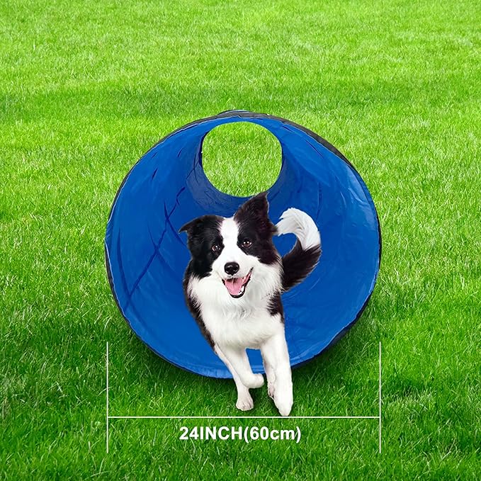 Dog Agility Tunnel, Dog Agility Equipment, Dog Agility Training with Carry Bag (Blue)