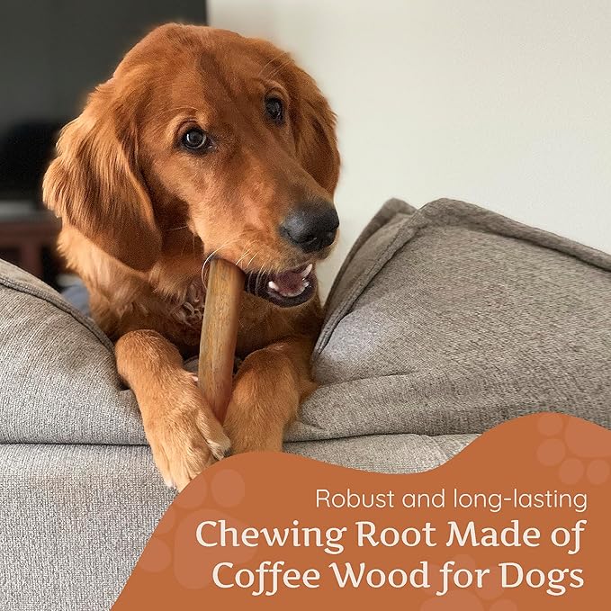 Wildfang® Coffee Wood Dog Chew, Large - Tough Chew Toys for Aggressive Chewers, Dog Teething Toys for Puppies, Training for Chewing Muscles, Coffee Tree Sticks for Large Dogs (55-99 lbs)