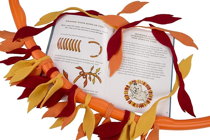 MindWare Make Your Own Doggy Day Camp – Deluxe Outdoor Activity Kit for Dog Lovers with Many Fun Training & Play Challenges | Interactive Bonding Gift for Active Dogs & Their Humans